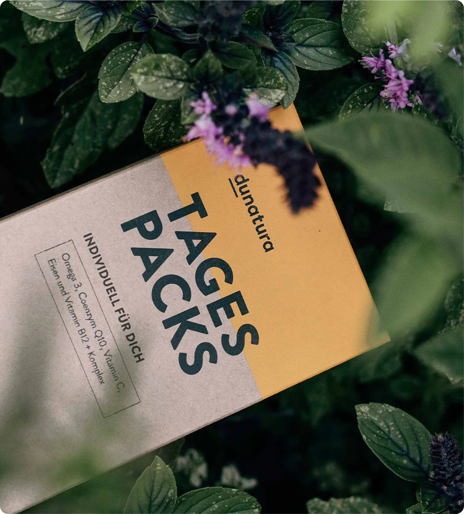 Eine Altpapierpackung mit gelben Balken mit dem Text TAGESPACKS mit inviduellen Vitaminen liegt zwischen blühenden Pflanzen
